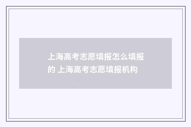 上海高考志愿填报怎么填报的 上海高考志愿填报机构