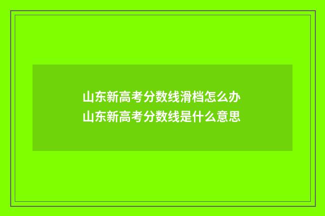 山东新高考分数线滑档怎么办 山东新高考分数线是什么意思
