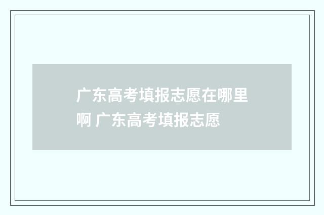 广东高考填报志愿在哪里啊 广东高考填报志愿