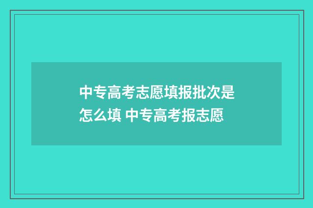 中专高考志愿填报批次是怎么填 中专高考报志愿