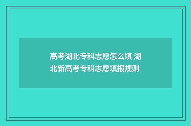 高考湖北专科志愿怎么填 湖北新高考专科志愿填报规则