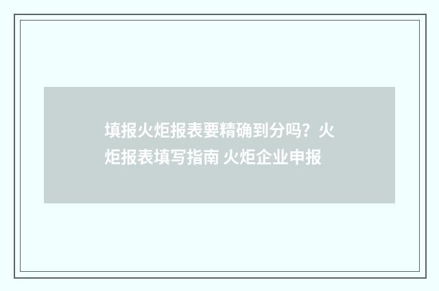 填报火炬报表要精确到分吗？火炬报表填写指南 火炬企业申报