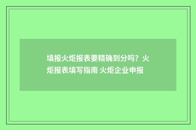 填报火炬报表要精确到分吗？火炬报表填写指南 火炬企业申报