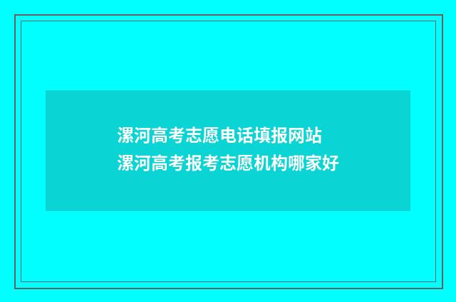 漯河高考志愿电话填报网站 漯河高考报考志愿机构哪家好