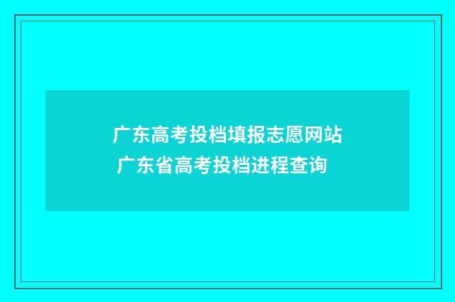 广东高考投档填报志愿网站 广东省高考投档进程查询