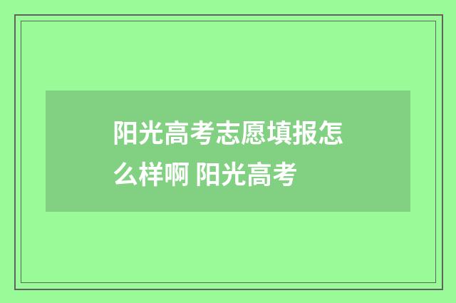 阳光高考志愿填报怎么样啊 阳光高考