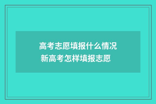 高考志愿填报什么情况 新高考怎样填报志愿