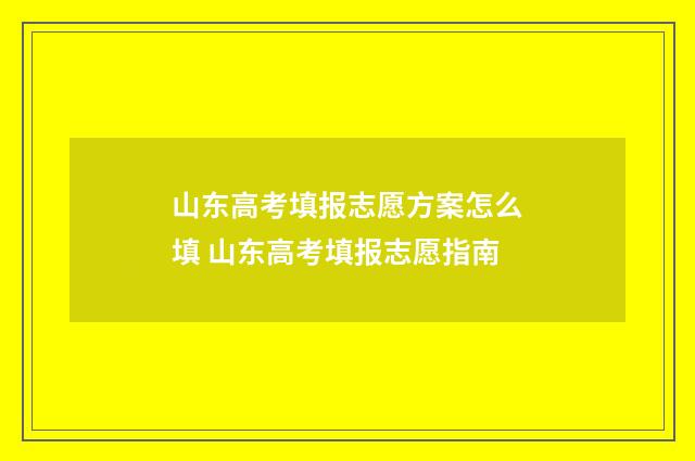 山东高考填报志愿方案怎么填 山东高考填报志愿指南