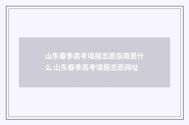 山东春季高考填报志愿指南是什么 山东春季高考填报志愿网址