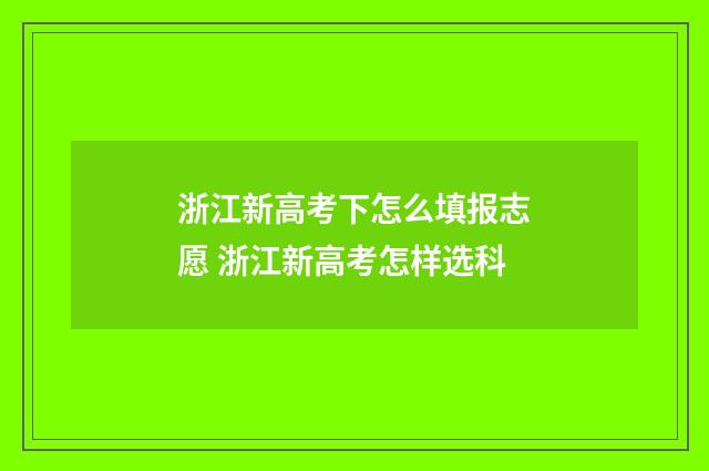 浙江新高考下怎么填报志愿 浙江新高考怎样选科