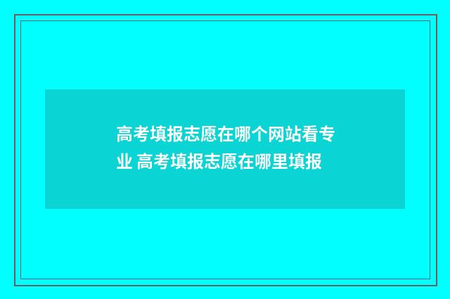 高考填报志愿在哪个网站看专业 高考填报志愿在哪里填报