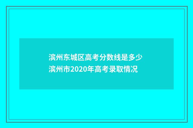 滨州东城区高考分数线是多少 滨州市2020年高考录取情况