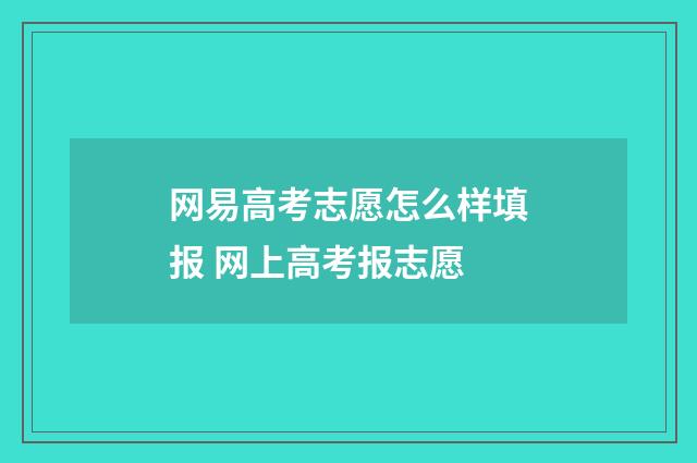 网易高考志愿怎么样填报 网上高考报志愿