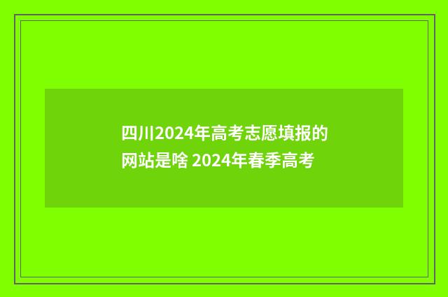 四川2024年高考志愿填报的网站是啥 2024年春季高考