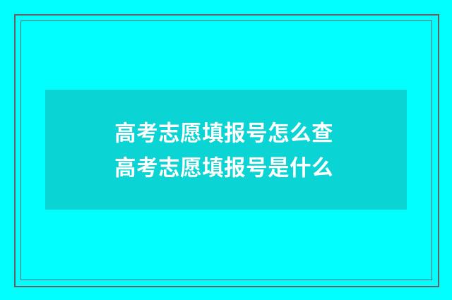 高考志愿填报号怎么查 高考志愿填报号是什么