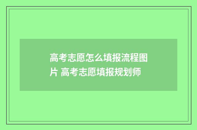 高考志愿怎么填报流程图片 高考志愿填报规划师