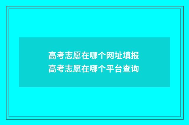 高考志愿在哪个网址填报 高考志愿在哪个平台查询