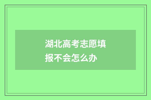 湖北高考志愿填报不会怎么办