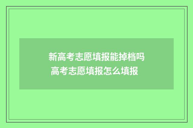 新高考志愿填报能掉档吗 高考志愿填报怎么填报
