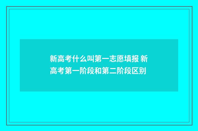 新高考什么叫第一志愿填报 新高考第一阶段和第二阶段区别