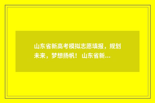 山东省新高考模拟志愿填报，规划未来，梦想扬帆！ 山东省新高考模拟考试试题
