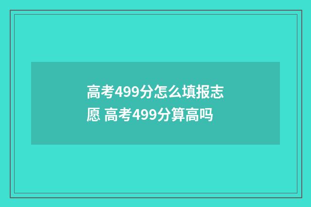 高考499分怎么填报志愿 高考499分算高吗