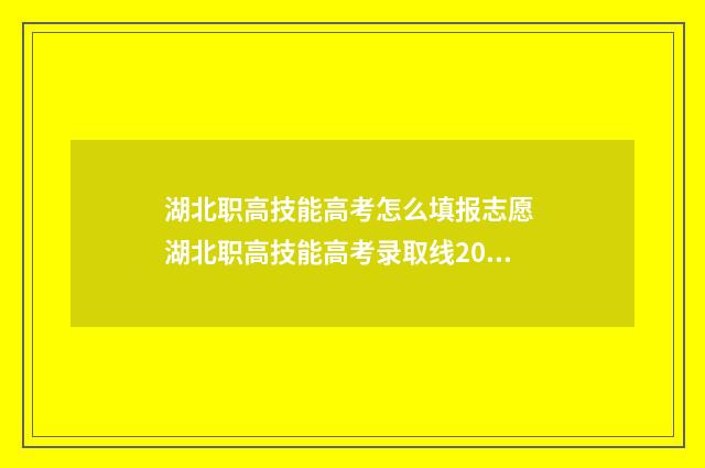 湖北职高技能高考怎么填报志愿 湖北职高技能高考录取线2024