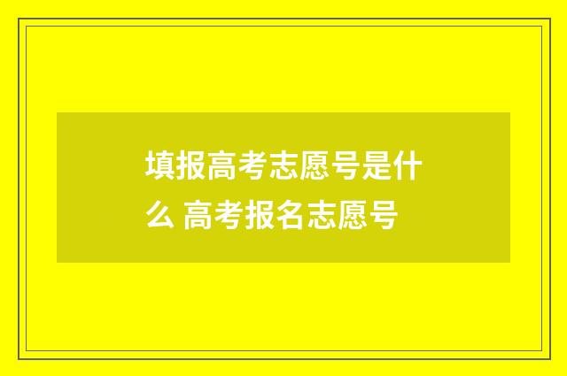 填报高考志愿号是什么 高考报名志愿号