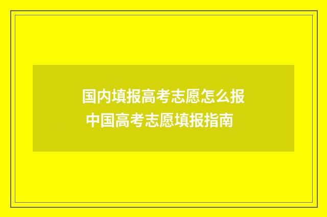 国内填报高考志愿怎么报 中国高考志愿填报指南