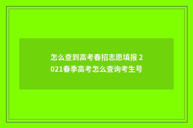 怎么查到高考春招志愿填报 2021春季高考怎么查询考生号