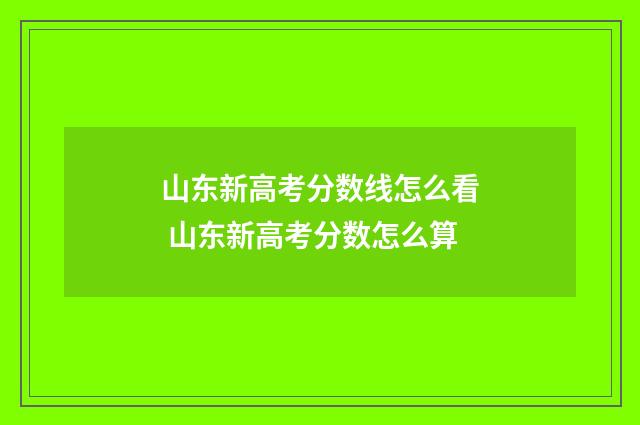 山东新高考分数线怎么看 山东新高考分数怎么算