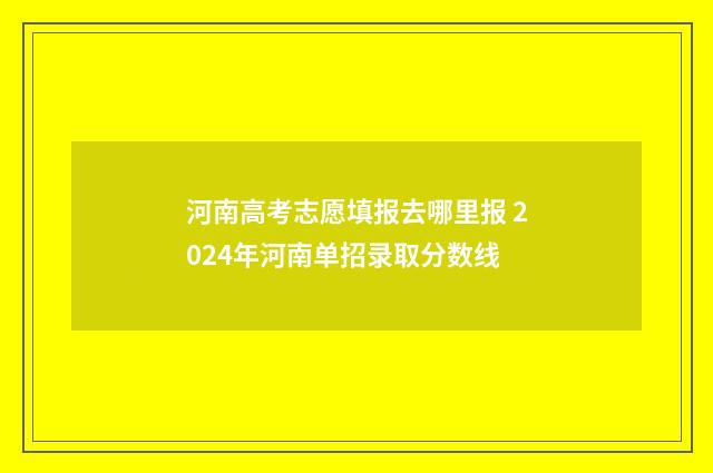 河南高考志愿填报去哪里报 2024年河南单招录取分数线