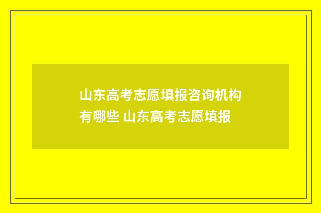 山东高考志愿填报咨询机构有哪些 山东高考志愿填报