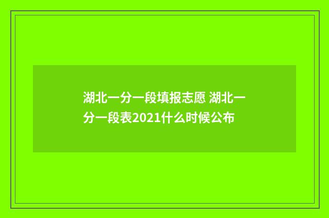 湖北一分一段填报志愿 湖北一分一段表2021什么时候公布