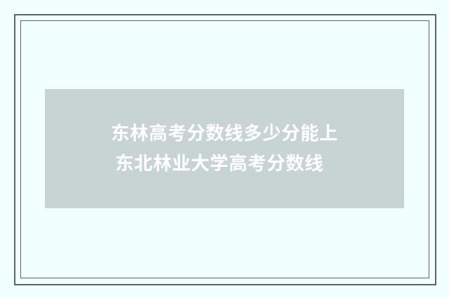 东林高考分数线多少分能上 东北林业大学高考分数线