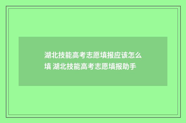 湖北技能高考志愿填报应该怎么填 湖北技能高考志愿填报助手