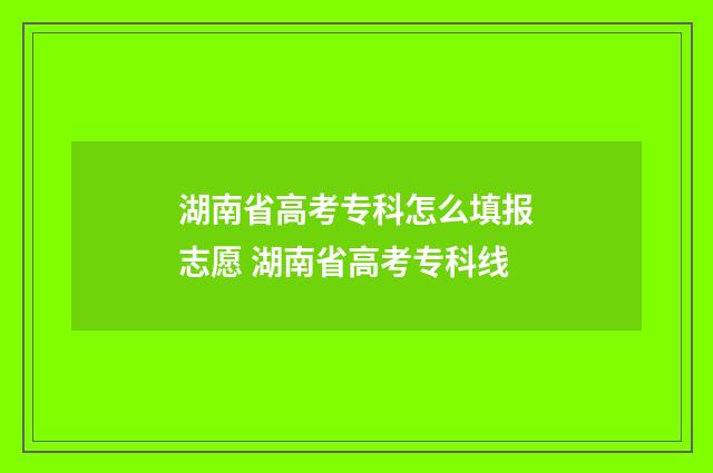 湖南省高考专科怎么填报志愿 湖南省高考专科线
