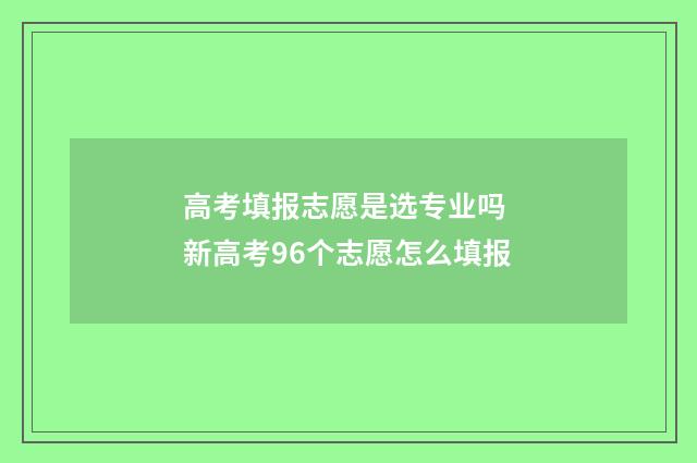 高考填报志愿是选专业吗 新高考96个志愿怎么填报
