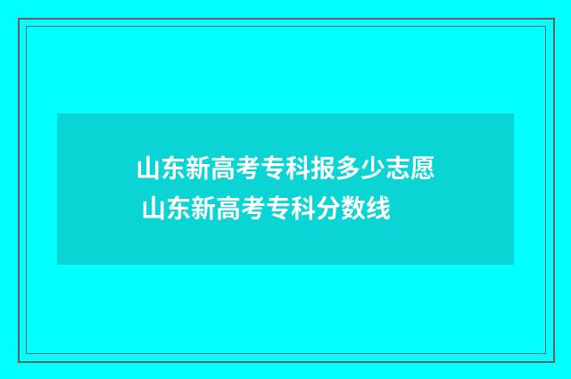 山东新高考专科报多少志愿 山东新高考专科分数线