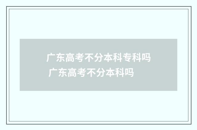 广东高考不分本科专科吗 广东高考不分本科吗