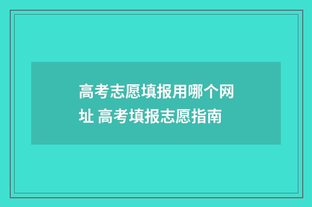 高考志愿填报用哪个网址 高考填报志愿指南