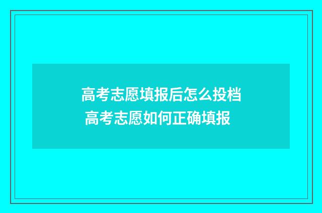 高考志愿填报后怎么投档 高考志愿如何正确填报