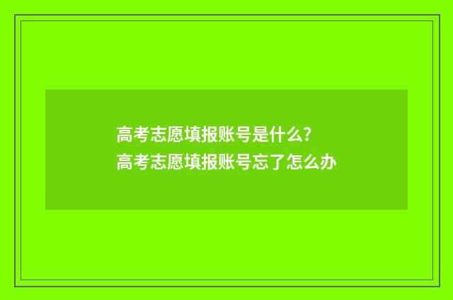 高考志愿填报账号是什么？ 高考志愿填报账号忘了怎么办