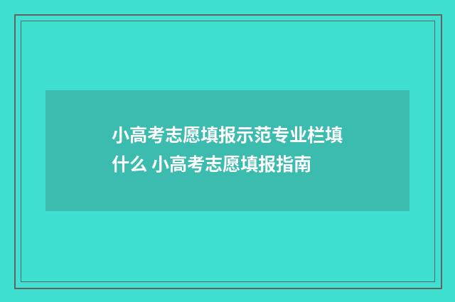 小高考志愿填报示范专业栏填什么 小高考志愿填报指南