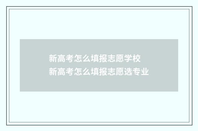 新高考怎么填报志愿学校 新高考怎么填报志愿选专业