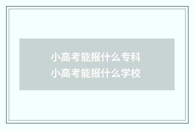 小高考能报什么专科 小高考能报什么学校