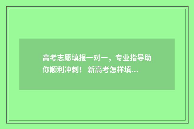 高考志愿填报一对一，专业指导助你顺利冲刺！ 新高考怎样填报志愿
