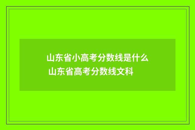 山东省小高考分数线是什么 山东省高考分数线文科
