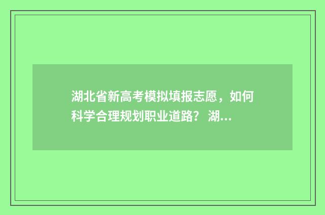 湖北省新高考模拟填报志愿,如何科学合理规划职业道路? 湖北省新高考模拟考试