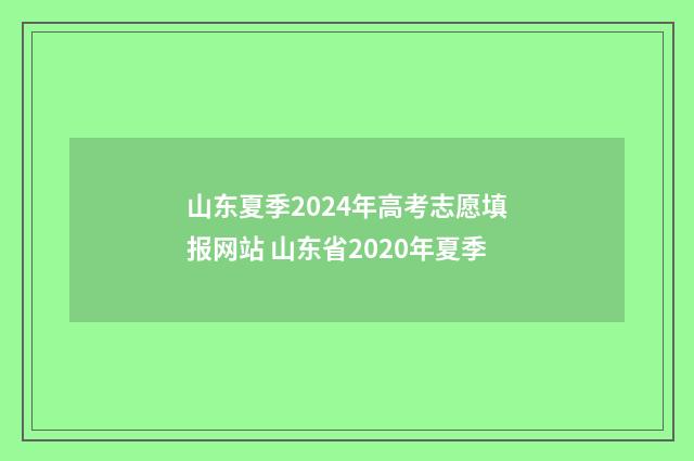 山东夏季2024年高考志愿填报网站 山东省2020年夏季